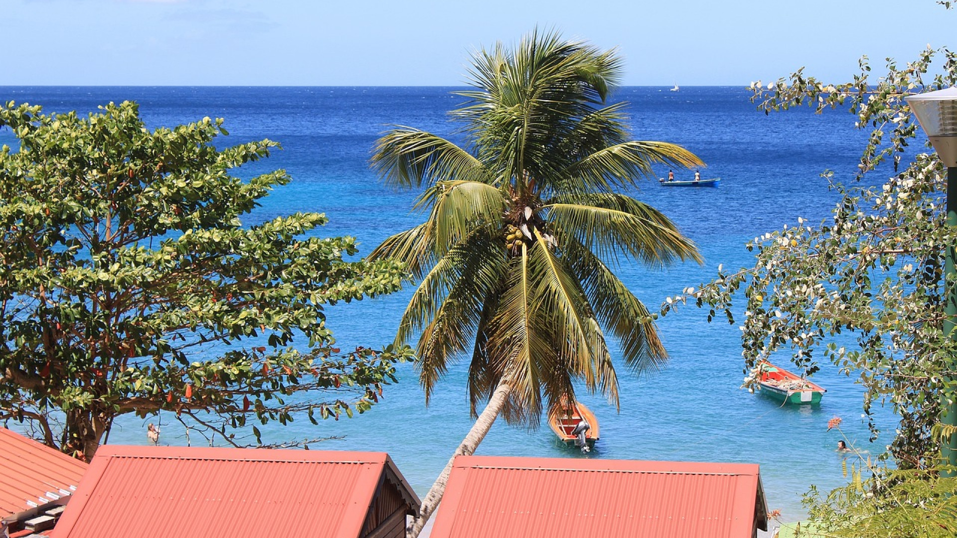 Les plus beaux sites à voir absolument en Martinique en voiture !