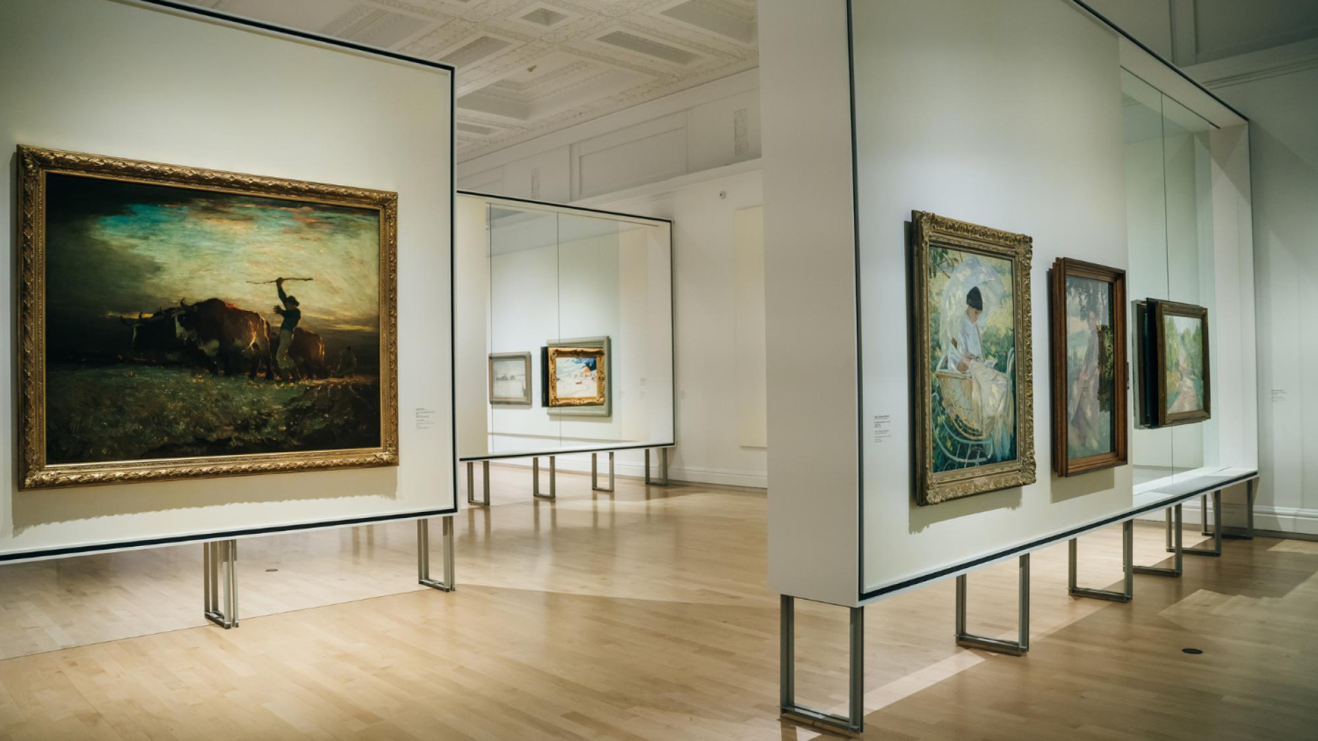 Solutions d’exposition et cloisons modulaires pour musées et événement : optimiser l’espace et la présentation