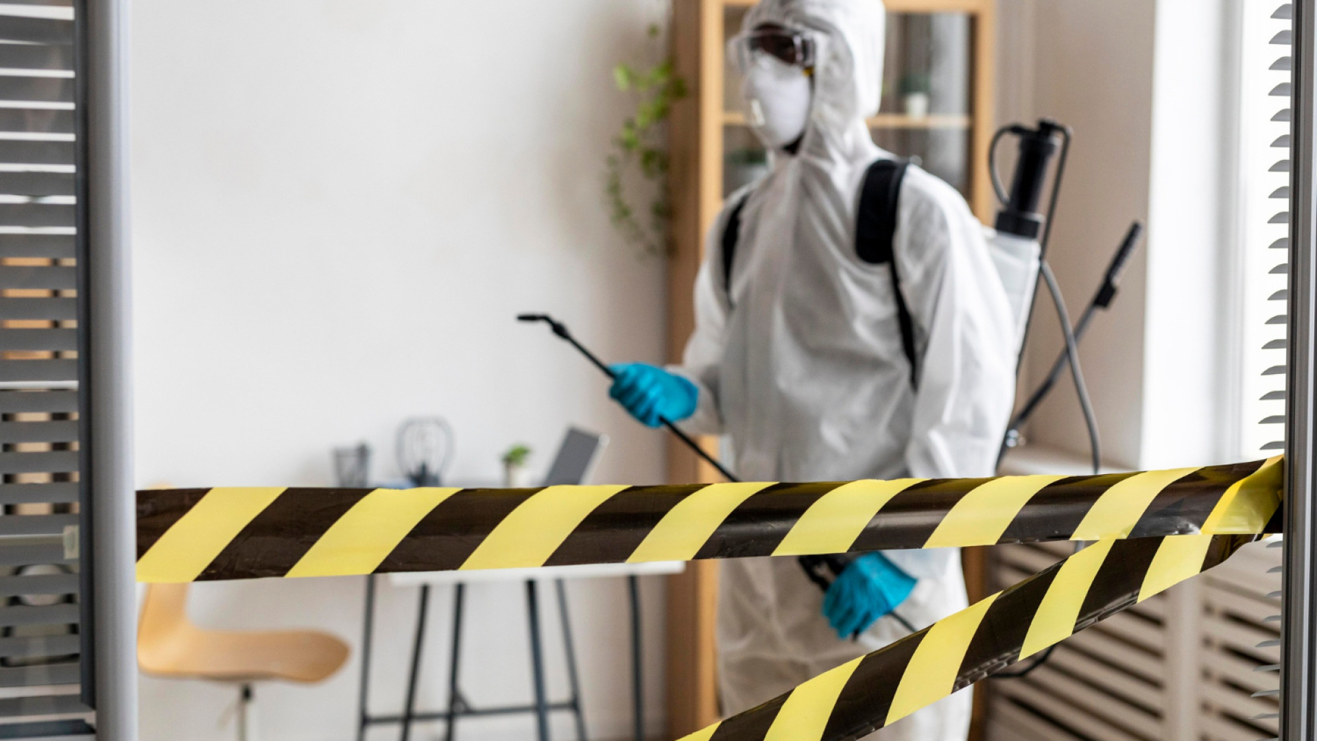 Traitement anti-mites à Rabat : solutions efficaces pour maison et appartement